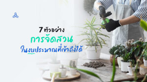 7 Garden Design Examples on a Tight Budget จัดสวน จัดสวนงบน้อย